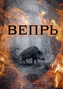 Вепрь