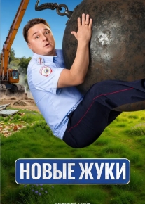 Жуки