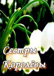 Сестры Королевы