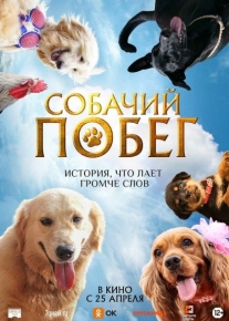 Собачий побег