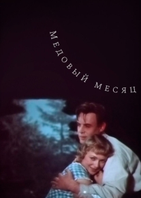 Медовый месяц