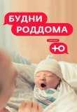 Будни роддома