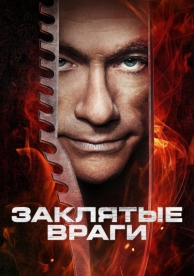 Заклятые враги (2013)