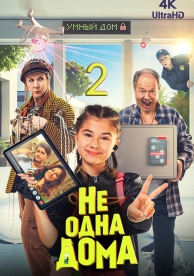 Не одна дома 2 (2025)