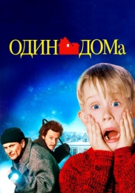 Один дома (1990)