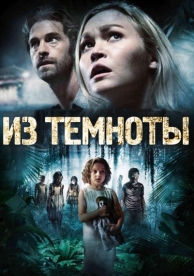 Из темноты (2014)