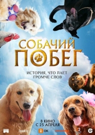 Собачий побег (2024)