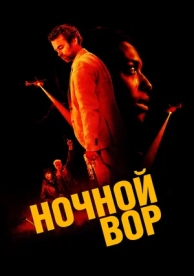 Ночной вор (2025)